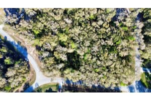 000 LOCUST DRIVE PASS, OCALA, FL 34472 - MLS#MFROM696825