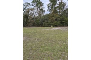 45641 OAK STREET, PAISLEY, FL 32767 Sold 05/30/25