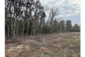 SW 80TH ST, OCALA, FL 34481 Sold 08/29/25