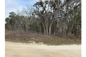 SW 80TH ST, OCALA, FL 34481 Sold 08/29/25