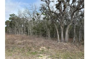 SW 80TH ST, OCALA, FL 34481 Sold 08/29/25