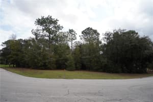 1159 NASHUA TERRACE, INVERNESS, FL 34453 Sold 06/12/25