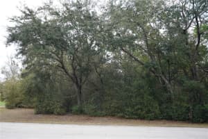 1159 NASHUA TERRACE, INVERNESS, FL 34453 Sold 06/12/25