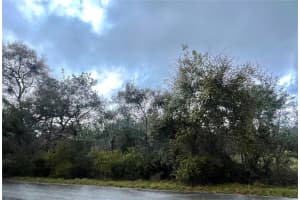 0 OLIVE PLACE, OCALA, FL 34472 Sold 04/15/25