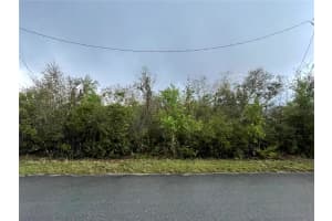 0 OLIVE PLACE, OCALA, FL 34472 Sold 04/15/25