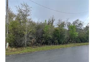 0 OLIVE PLACE, OCALA, FL 34472 Sold 04/15/25