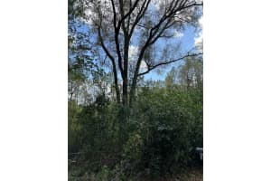 00 193 CIRCLE, DUNNELLON, FL 34432 - MLS#MFROM696885
