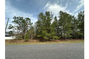 0 110TH LANE, OCALA, FL 34476 Sold 04/30/25