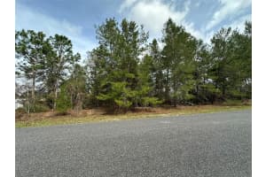 0 110TH LANE, OCALA, FL 34476 Sold 04/30/25