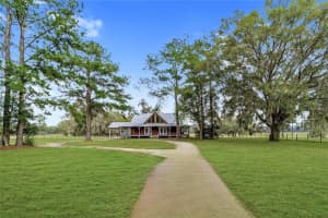 8521 150TH AVENUE, WILLISTON, FL 32696 Sold 08/01/25