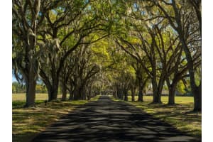 TBD 22ND AVENUE ROAD, OCALA, FL 34480 Sold 05/30/25