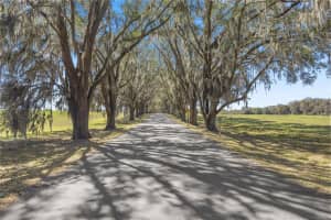 SE 15 AVE, OCALA, FL 34480 Sold 05/19/25