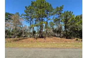 2077 LINDEN DRIVE, CITRUS SPRINGS, FL 34434 Sold 04/29/25