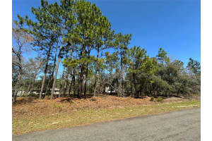 2077 LINDEN DRIVE, CITRUS SPRINGS, FL 34434 Sold 04/29/25