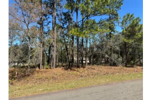 2077 LINDEN DRIVE, CITRUS SPRINGS, FL 34434 Sold 04/29/25