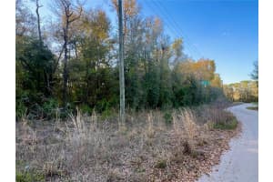 NW 55TH AVE, OCALA, FL 34482 - MLS#MFROM697172