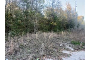 NW 55TH AVE, OCALA, FL 34482 - MLS#MFROM697172