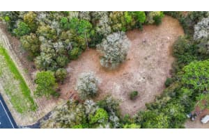14350 NE HIGHWAY 27 ALT, WILLISTON, FL 32696 - MLS#MFROM697188
