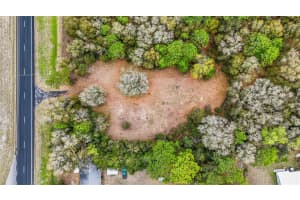 14350 NE HIGHWAY 27 ALT, WILLISTON, FL 32696 - MLS#MFROM697188
