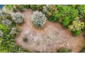 14350 NE HIGHWAY 27 ALT, WILLISTON, FL 32696 - MLS#MFROM697188