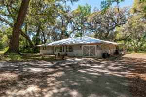 14100 40TH COURT, ANTHONY, FL 32617 - MLS#MFROM697203