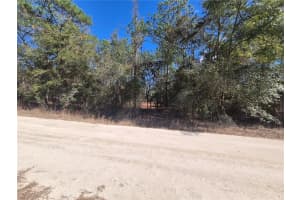 SW 59TH LANE LN, OCALA, FL 34481 - MLS#MFROM697237