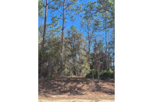 SW 59TH LANE LN, OCALA, FL 34481 - MLS#MFROM697237