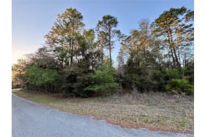 Lot 33 97 PLACE, DUNNELLON, FL 34431 - MLS#MFROM697254