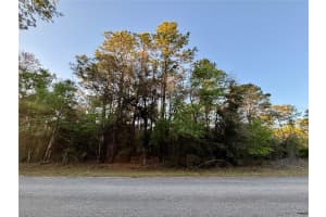 Lot 33 97 PLACE, DUNNELLON, FL 34431 - MLS#MFROM697254