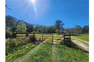 19040 60TH AVENUE, REDDICK, FL 32686 Sold 06/24/25