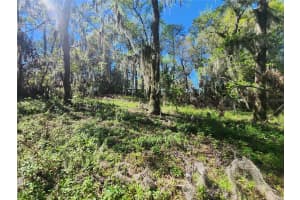 19040 60TH AVENUE, REDDICK, FL 32686 Sold 06/24/25