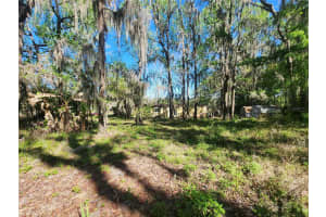 19040 60TH AVENUE, REDDICK, FL 32686 Sold 06/24/25