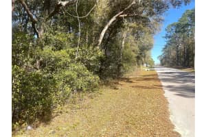 0000 199 COURT COURT, DUNNELLON, FL 34431 - MLS#MFROM697302
