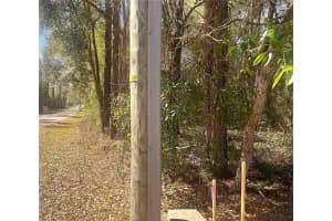 0000 199 COURT COURT, DUNNELLON, FL 34431 - MLS#MFROM697302