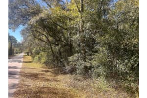0000 199 COURT COURT, DUNNELLON, FL 34431 - MLS#MFROM697302
