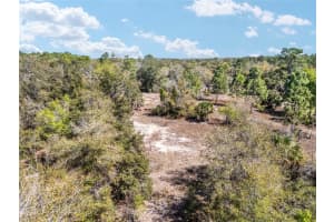 11861 PAN AN TERRACE, DUNNELLON, FL 34433 Sold 04/04/25