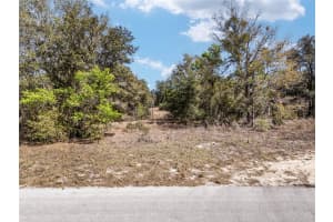11861 PAN AN TERRACE, DUNNELLON, FL 34433 Sold 04/04/25