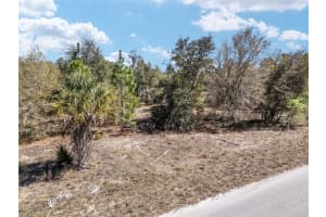 11861 PAN AN TERRACE, DUNNELLON, FL 34433 Sold 04/04/25