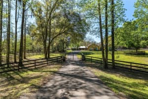 450 125TH AVENUE, OCALA, FL 34481 Sold 09/02/25
