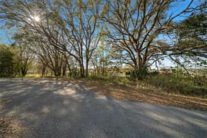 PINE TRACE RUN, OCALA, FL 34472 - MLS#MFROM697353