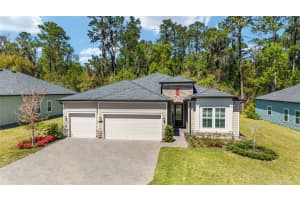1129 42ND ROAD, OCALA, FL 34480 - MLS#MFROM697537