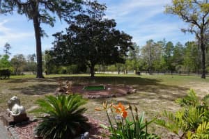 8465 HUSKY AVENUE, DUNNELLON, FL 34433 - MLS#MFROM697598