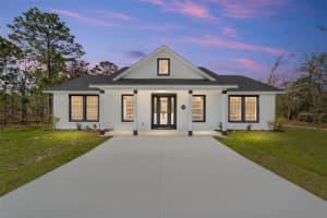 1370 151ST AVENUE, WILLISTON, FL 32696 - MLS#MFROM697620