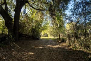 2570 SE HIGHWAY 42, SUMMERFIELD, FL 34491 Sold 10/22/25