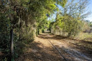 2570 SE HIGHWAY 42, SUMMERFIELD, FL 34491 Sold 10/22/25