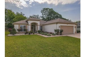 9509 124TH LOOP, SUMMERFIELD, FL 34491 - MLS#MFROM697704