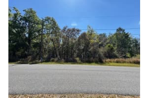 ELM LOOP, OCALA, FL 34472 Sold 04/11/25