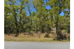 ELM LOOP, OCALA, FL 34472 Sold 04/11/25