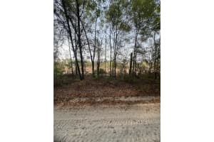 TBD 150 STREETS, DUNNELLON, FL 34432 - MLS#MFROM697955