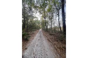 TBD 150 STREETS, DUNNELLON, FL 34432 - MLS#MFROM697955